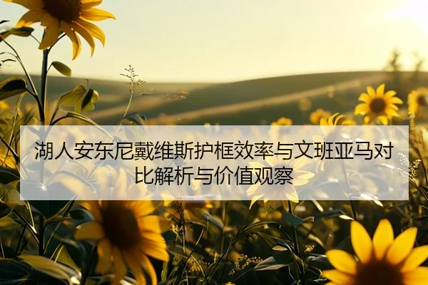 湖人安东尼戴维斯护框效率与文班亚马对比解析与价值观察