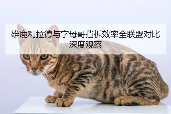 雄鹿利拉德与字母哥挡拆效率全联盟对比深度观察